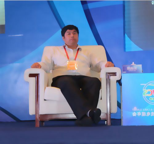 電力科學研討院副總工程師朱曉輝