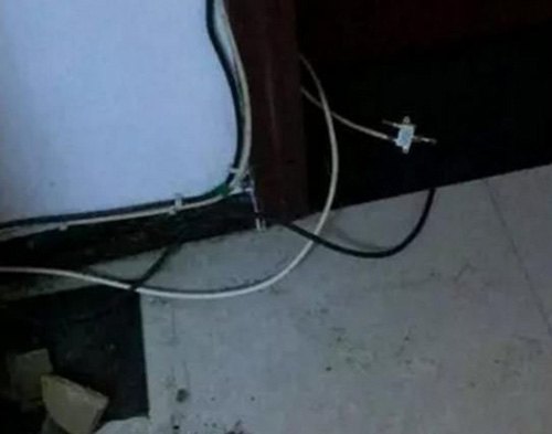 二哈拆家咬到電線，成果被電到炸毛，主人笑翻：小家伙長的真共同