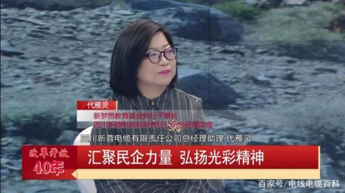 新蓉電纜總經理李紅燕